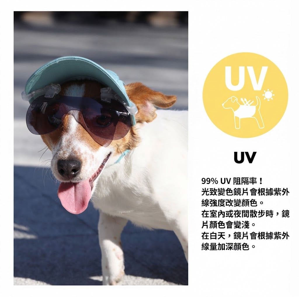帽子夾式變色太陽眼鏡