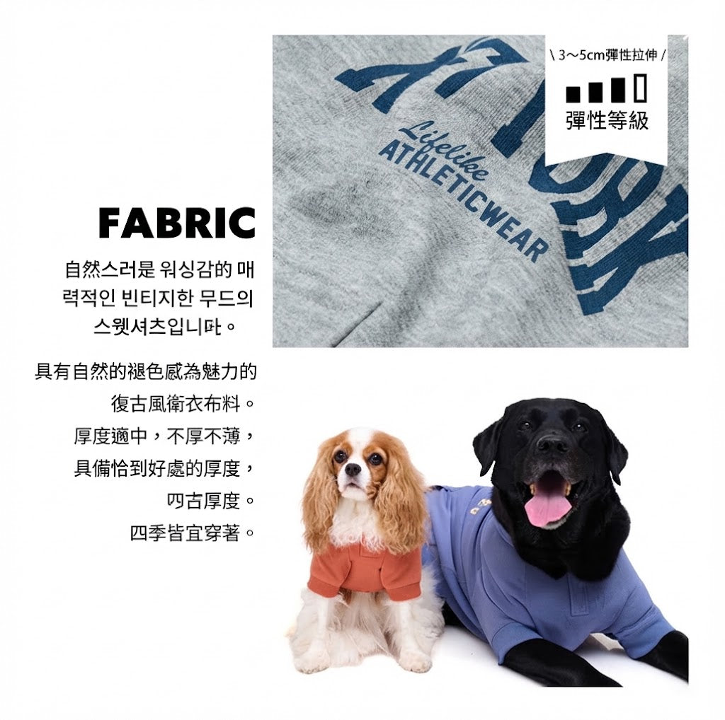 美式學院風城市連帽T