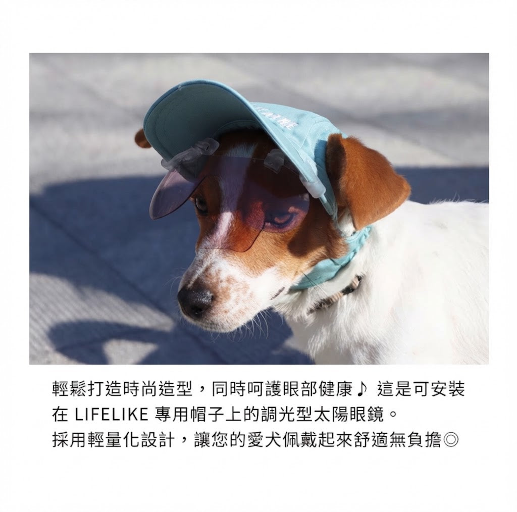 帽子夾式變色太陽眼鏡