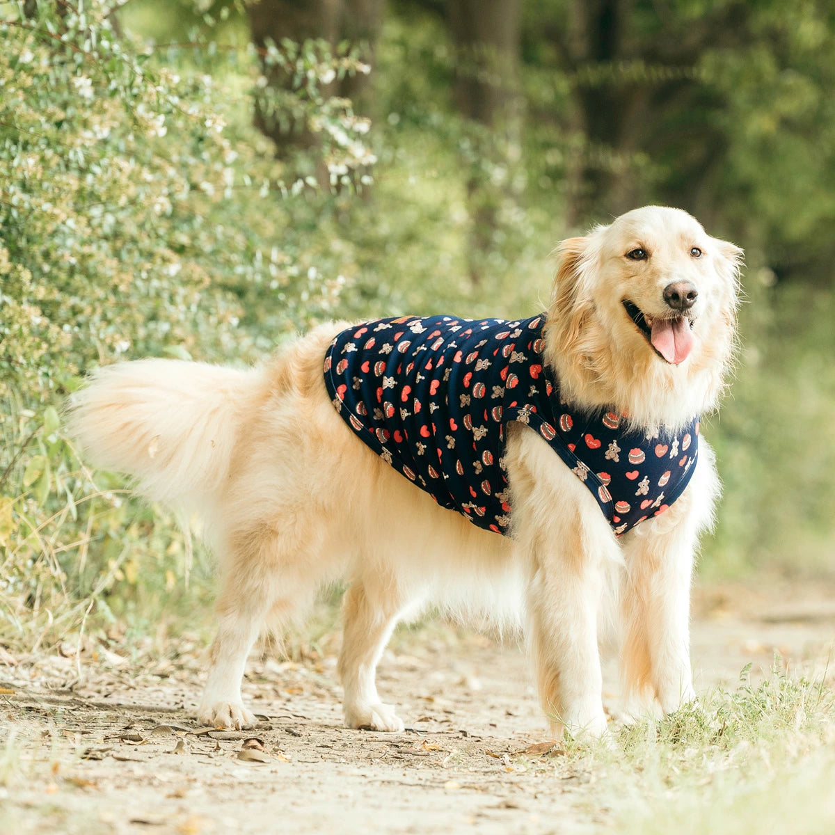 RADICA × IFMC 大型犬機能背心